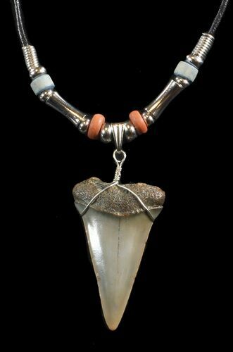Fossil Mako Shark Tooth Necklace #43058